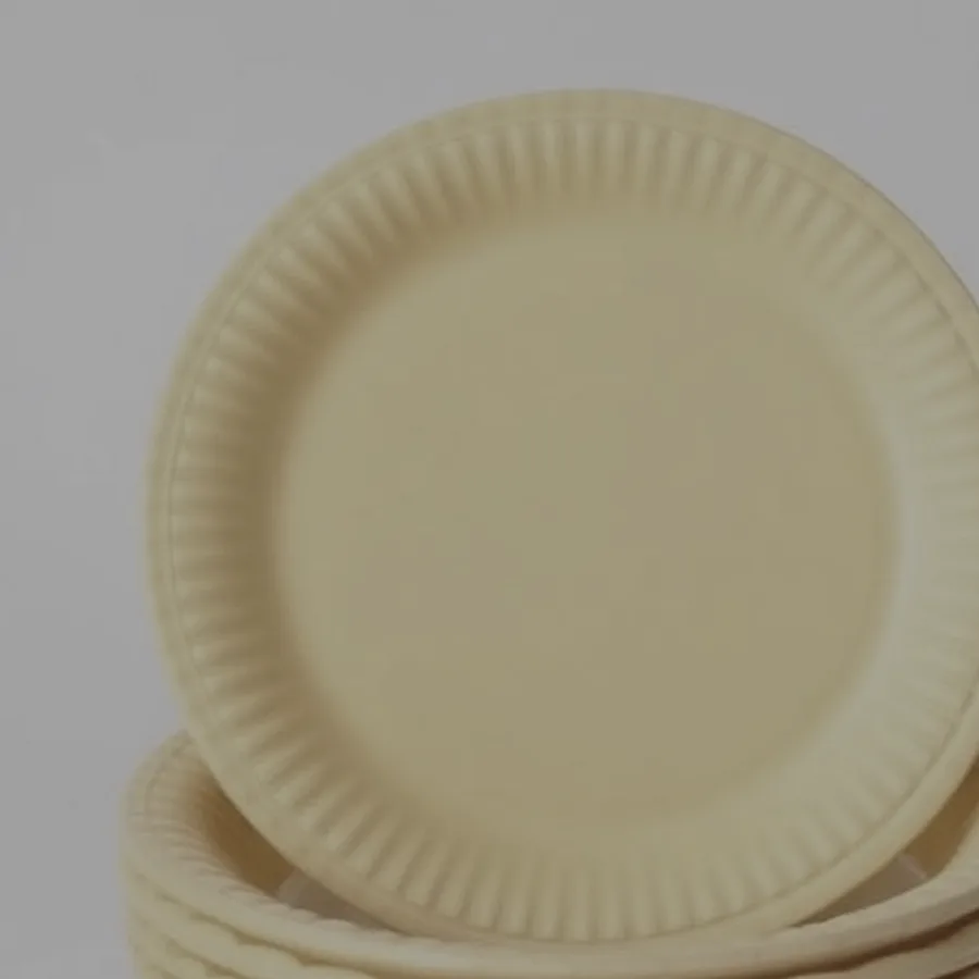 Scotch Solid Color Party Plate Pack — 9", Black